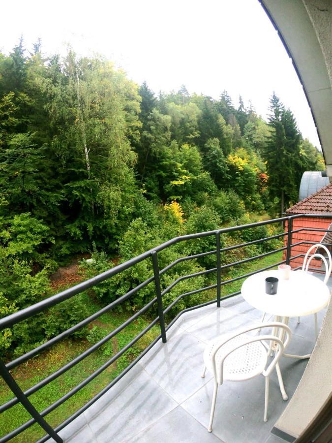 The Mountain Loft Klinovec - With Infrasauna Jáchymov Eksteriør billede